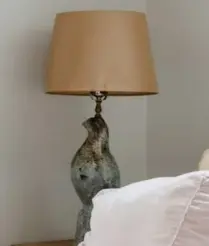 Aquipetlc